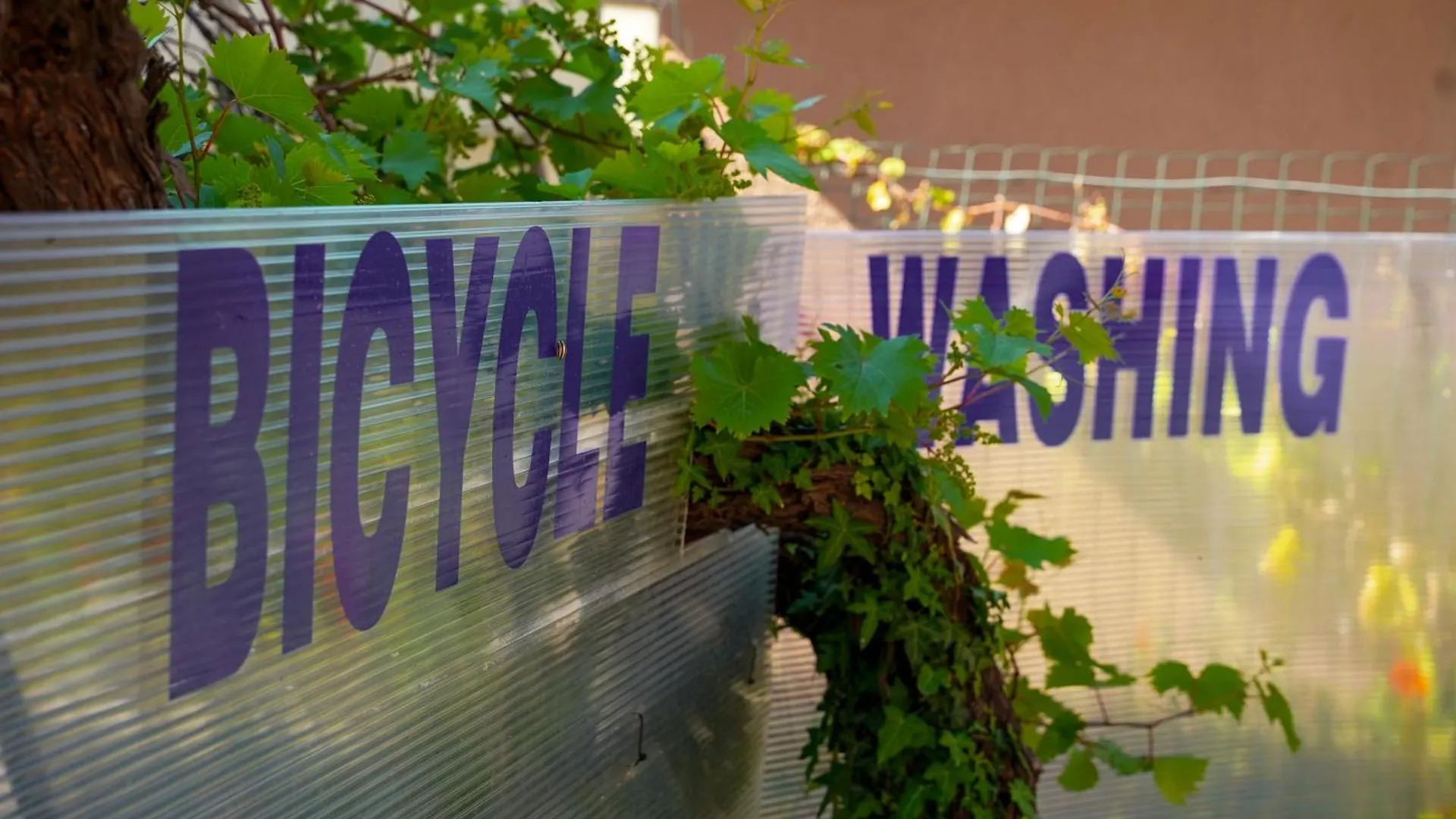Joyfuel Accomodation Finale Ligure Guest house